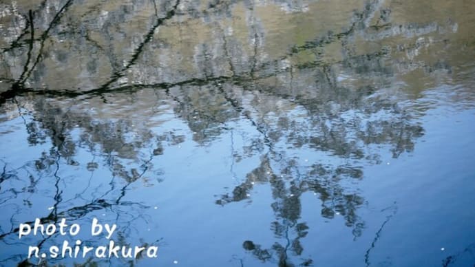 爽やか