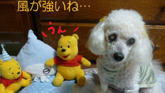 9月ですね…(^▽^)/ 台風11号に…台風のたまごたちが…