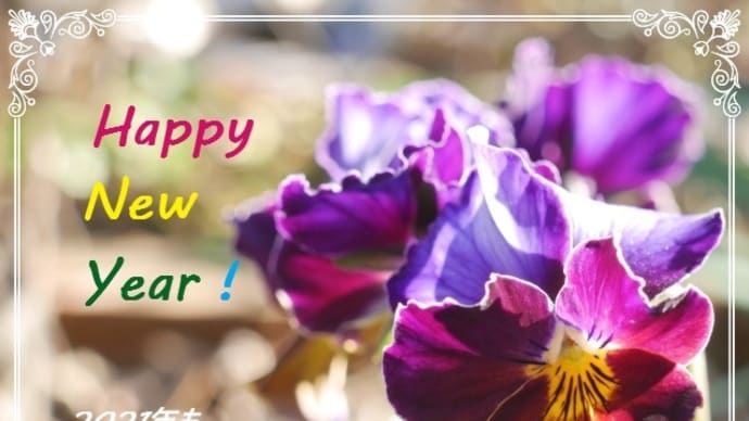 新年のご挨拶~2021年の計