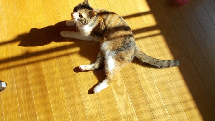 温めたり冷ましたり…。