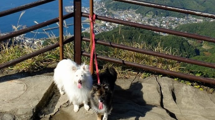 みんなで鋸山