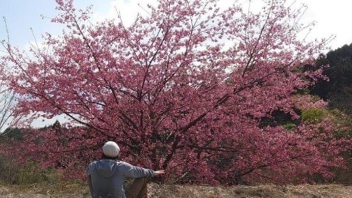 春の炎Ⅲ🔥豊後国お山徘徊・・・鶴見岳＆両子山＆碇山！