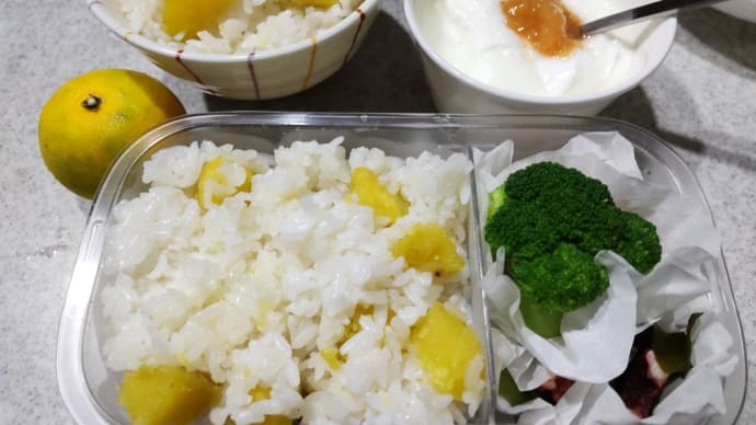 手作りお弁当、継続中♪♪