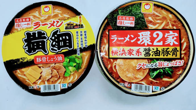 豚骨醤油ラーメン