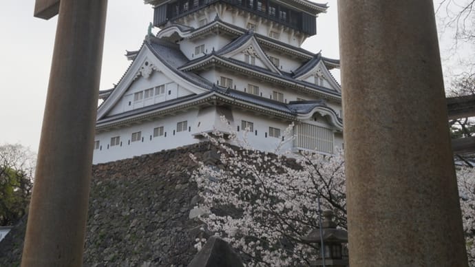 宣言解除で「密」を避けつつ小倉城　再開(^o^)