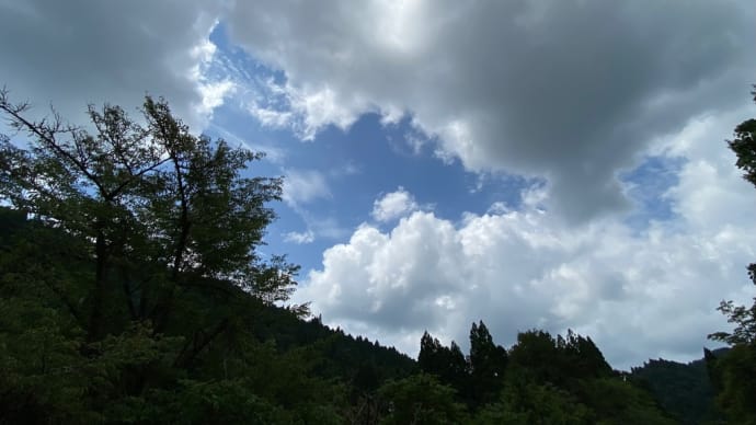 蒸し暑い🥵💦🥵💦