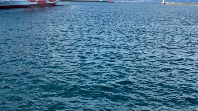 海は広いな