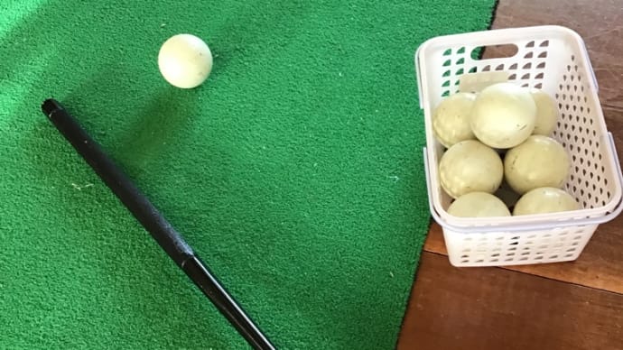 昔取った杵柄