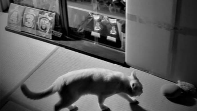暗闇で謎の行動