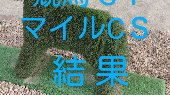 レース結果 競馬G1マイルCSを振り返る 馬券結果