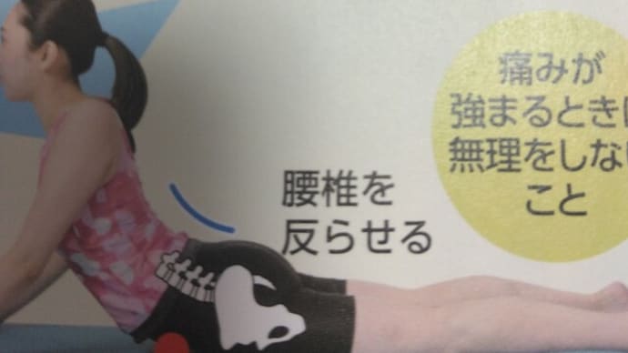 椎間板ヘルニアの痛みが治まったようです。