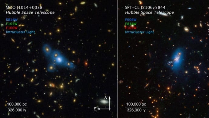迷子になった星々が放つ淡く広がった光から銀河団の歴史を理解できるかも