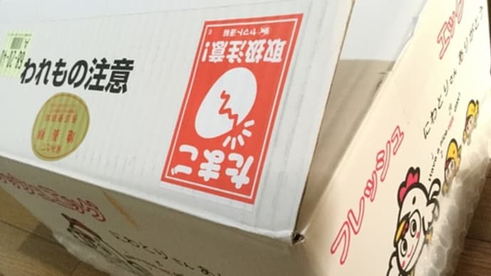 ふるさと納税、地養卵10kg卵167個来た