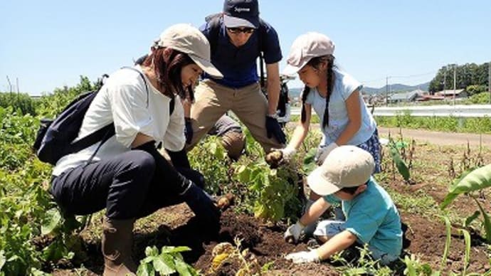 里山体験プログラム「春野菜の収穫とサツマイモ植え」