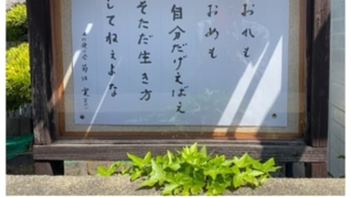 「近くの教え・49」~2025.05.01