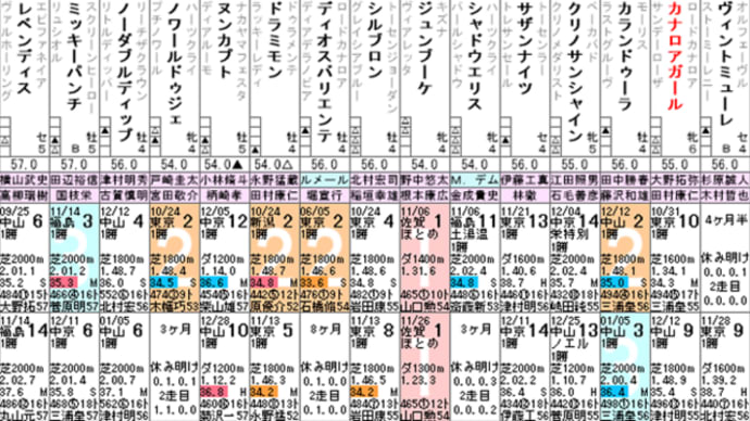 【カナロアガール】１／２９東京１２Ｒ、引退レース出走確定