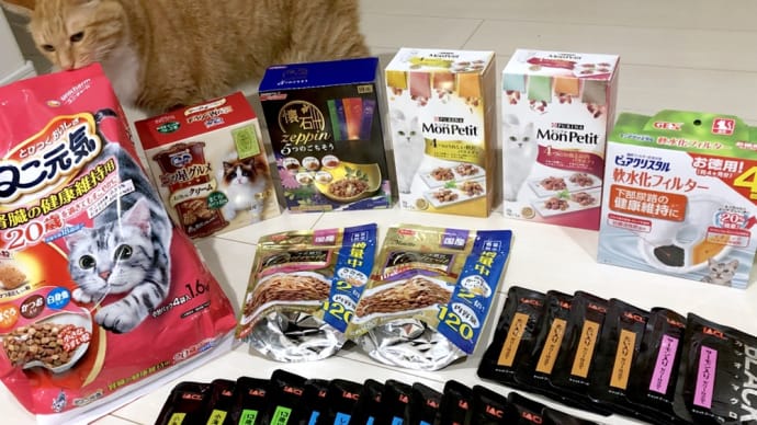 しろちゃんの発作とご飯