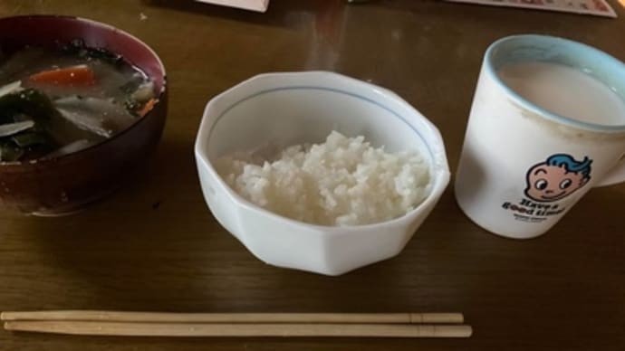 今日は割合楽だった