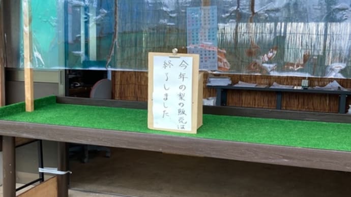 秋のウォーキング&オシャレなカフェ