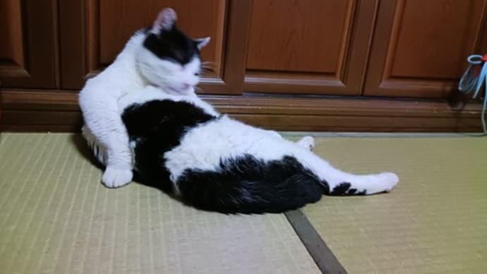 ノリスケの最近