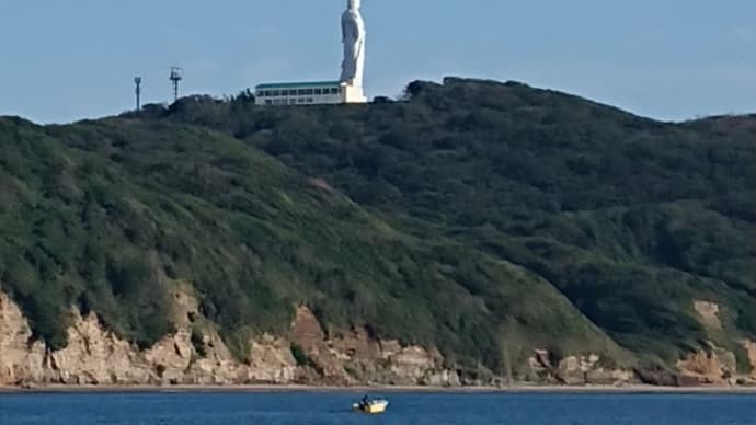 2021年10月最後の湾フグ(2021年10月24日)