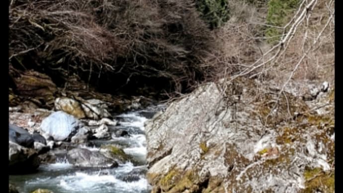 今年初 N川(多摩川水系)