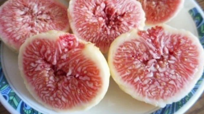 蓬莱柿(ほうらいし)・日本いちぢく