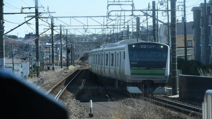 第１１回「弥生の会」ギャルリー成瀬　町田