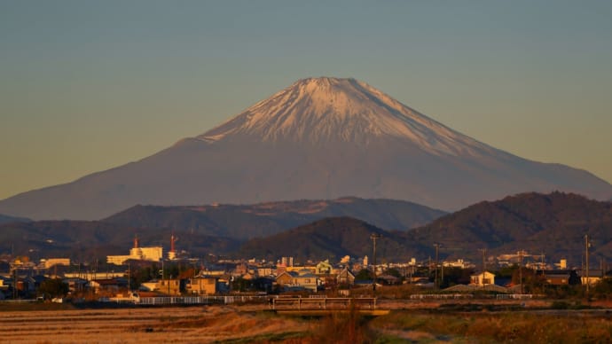 02/Dec  朝焼けの富士山とタゲリとカワセミ
