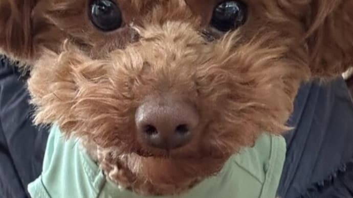 仕事だけの平和な1日!