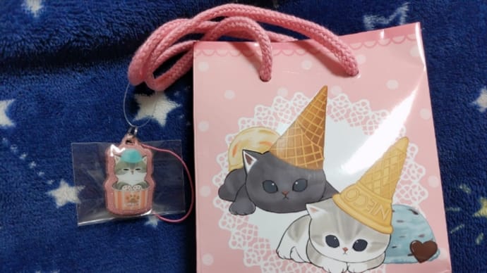 こっちも買っちゃった