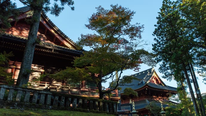 2023霜降 日光植物園から輪王寺へ
