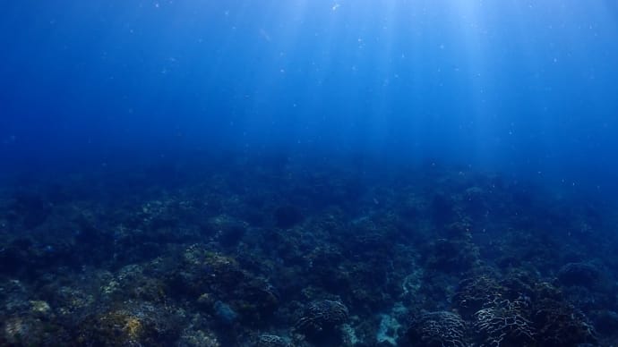 これからベストシーズンの海を楽しみましょう~!!