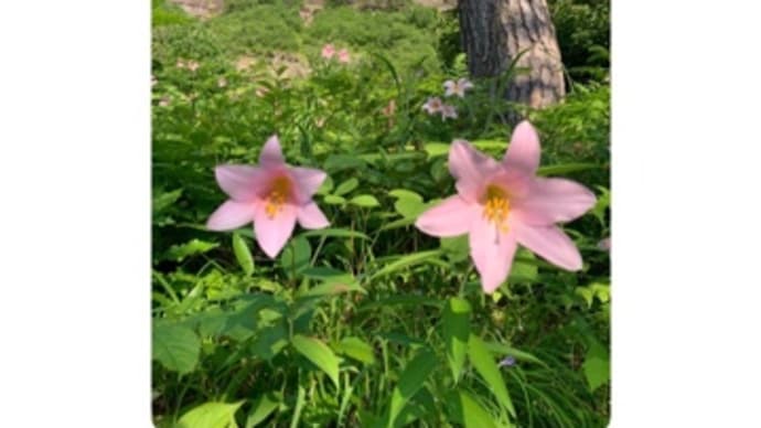 第5回 専門ゼミI