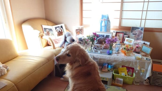 5月の始まりは・・・