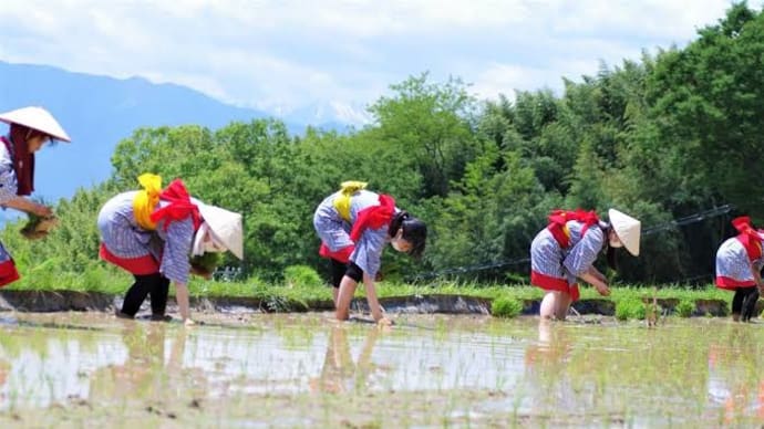 「早苗とる手もとや昔しのぶ摺」 芭蕉