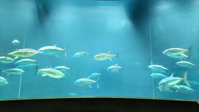 葛西臨海水族園(その3)