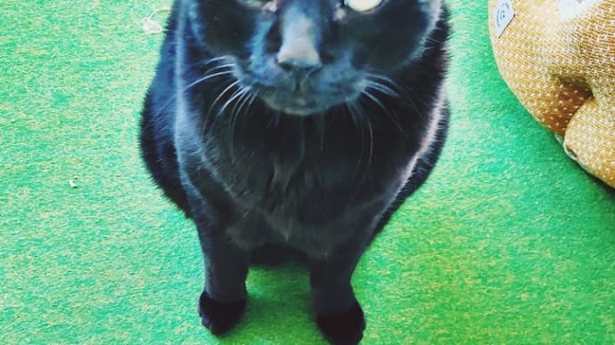 ごふまん