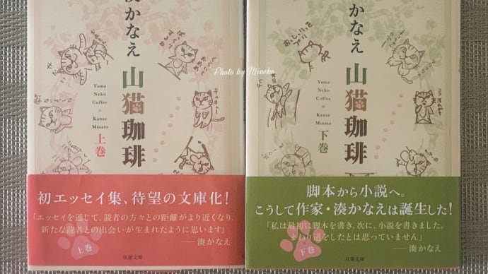 イヤミスの女王のエッセイ集は小説ほどではなかったという感想「山猫珈琲」