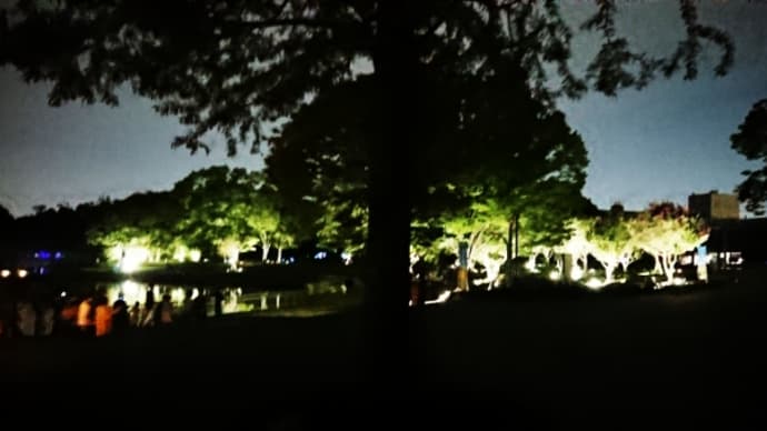 チームラボ ボタニカルガーデン 大阪(長居植物園)✨