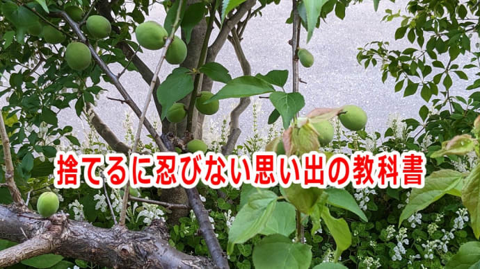 捨てるに忍びない思い出の教科書