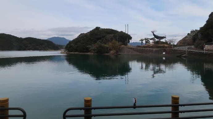 太地町立くじらの博物館