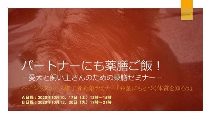 ベーシックコース修了者向けウェビナー「弁証にもとづく体質を知ろう」開催します