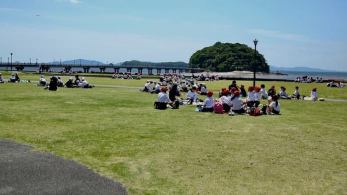 竹島に遠足の季節がやってきました。 鳶の襲撃に気をつけましょう!