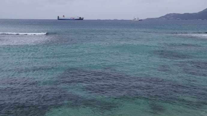 名護湾へ、確認に行った(20230220-④)