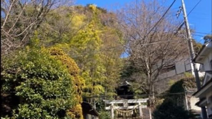【参拝日記】川尻八幡宮〜座間神社(神奈川県)その2