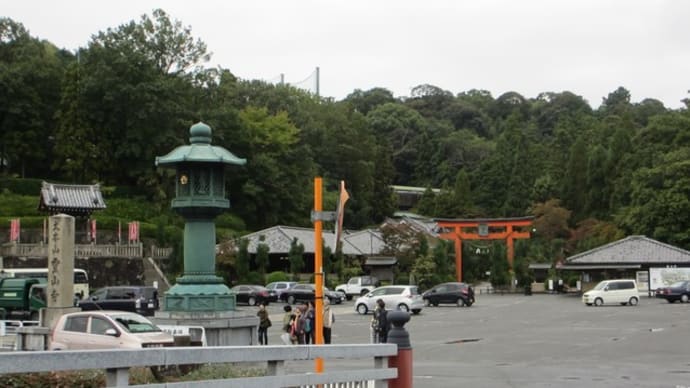 雨の秋バラ