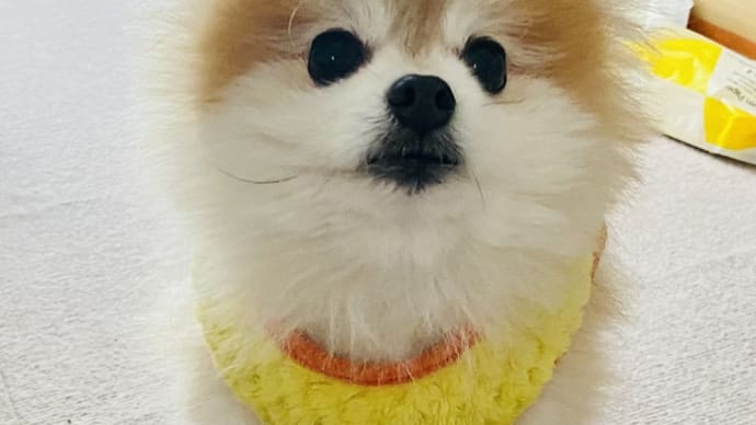 すっかり元気です!