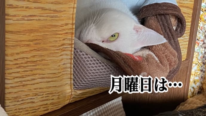 1月10日、月曜日です