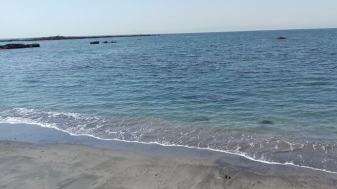佐島の海